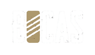 Bocas Barbecue logo